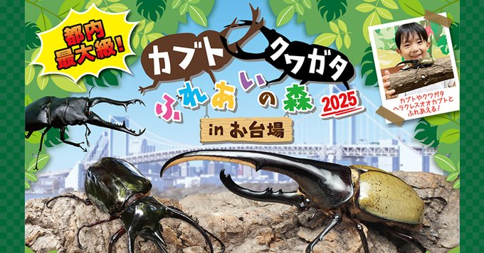 カブトクワガタふれあいの森 in お台場 2025｜7月3日〜8月31日デックス東京ビーチで開催！