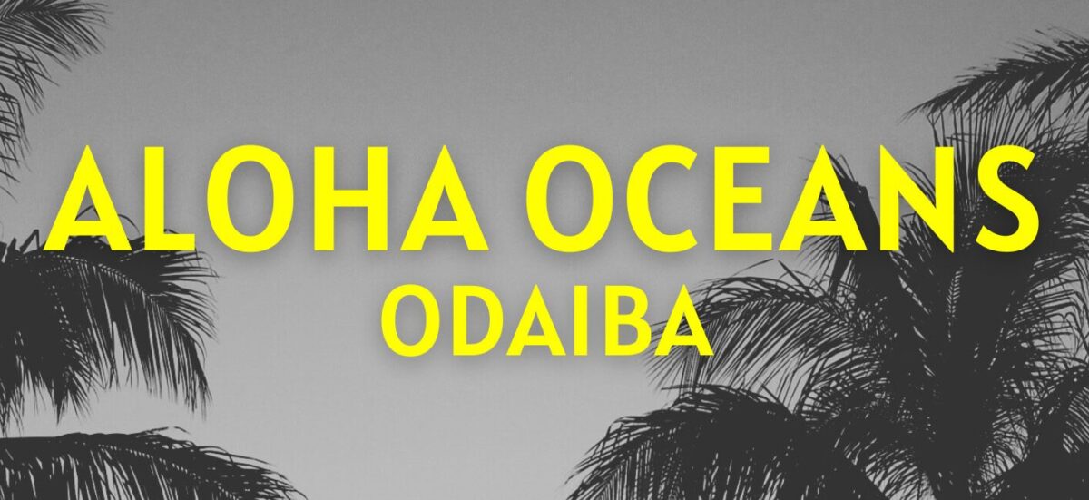 ALOHA OCEANS ODAIBA|11月22日(土)〜23日(日)お台場The SOHOで初開催!ハワイアンライブ・フラ・フード・アートが海辺で楽しめるハワイアンフェスティバル